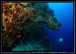 Indian Ocean Scenary by Michel Lonfat 